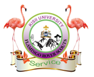 Flamingo Rover Scouts